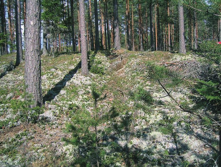 Figur 5. Tjærebrenningsanlegg av typen tjæregrøft (drevgrav) finnes det mange av i Eidskog. Id-nr: 25272-1. Foto: May-Liss Bøe Sollund Figur 6. Olavskilden ved Korskjølen. Id-nr: 39154.