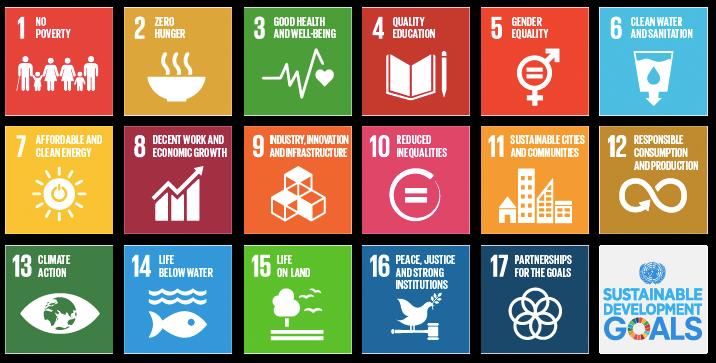 Link your company to the SDGs which problem can you solve?