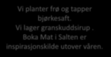 og tapper bjørkesaft.