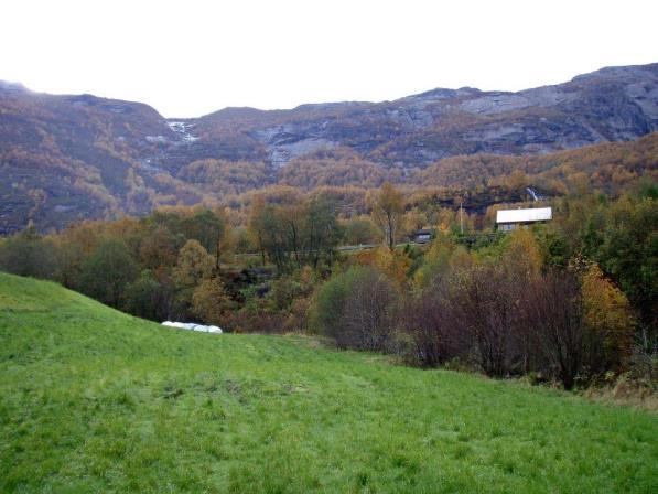 Karplanter, moser og lav Berggrunnen i området gir ikke grunnlag for rik vegetasjon (se kapittel om naturgrunnlaget).