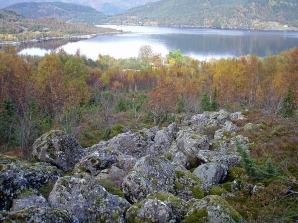 Helt nederst i tiltaksområdet, på begge sider av riksveien, er det mye dyrka mark (grasproduksjon og beitearealer) og noen mindre granplantefelter.