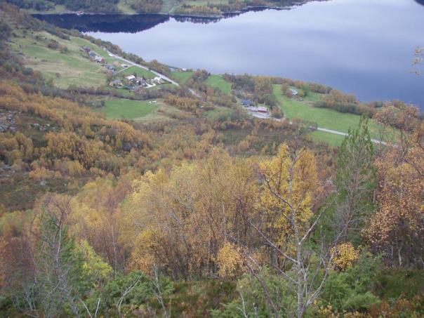 Figur 14. Landskapet i influensområdet. Oversikt over nedre landskapsrom med bilvei, bebyggelse og dyrka mark på avflatet terreng nærmest fjorden (t.v.).