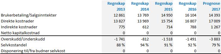 BDO har gjennomgått kommunens selvkostregnskap.