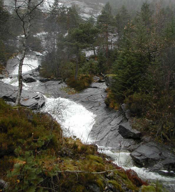 Konsekvensutredning for Eikemo Kraftverk Side 13 4.5.2 Ekso Ekso er hovedvannstrengen i Eksingedalsvassdraget. Elven har et samlet nedbørfelt på 387 km², og en lakseførende strekning på 3,9 km.
