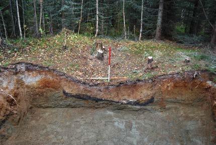 Ni av ti undersøkte kullgroper hadde en dybde etter utgravning på 0,8 1,15 meter, til tross for en noe større variasjon i indre diameter.