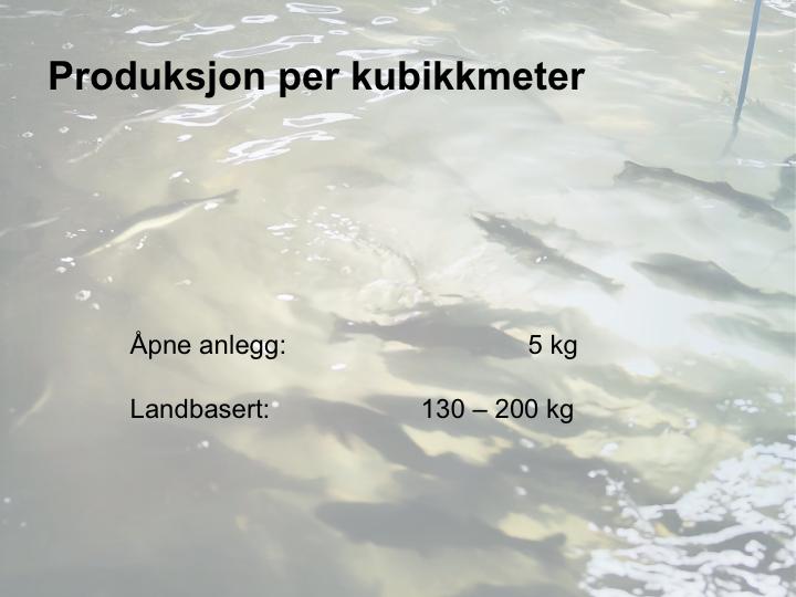 Utnyttelsen av volumet e avgjerande for kapitalkostnaden per kilo Maksimal tetthet kan være møkje høgare enn i åpne merda, gjerne 70, kanskje 120 kilo per kubikk Men møkje