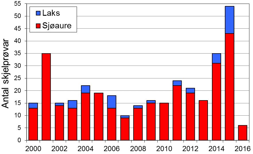 Etter ein periode med meir stabile fangstar, vart det i 2016 berre fanga 23 sjøaure, det svakaste resultatet sidan 1990- talet.