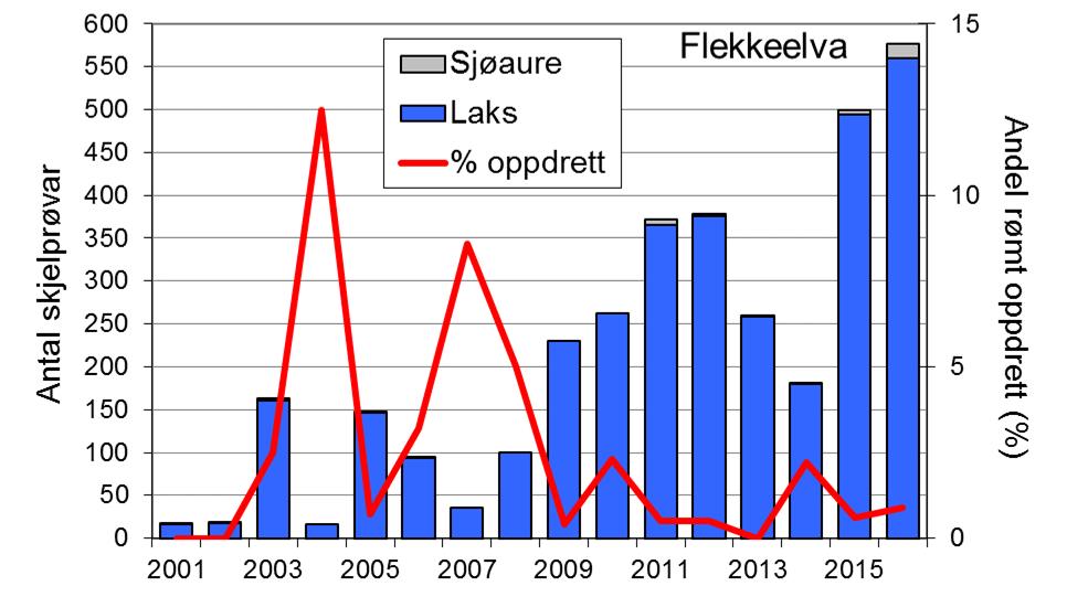 Fangsten av sjøaure auka frå midt på 90-talet, men med stor mellomårsvariasjon. Dei siste åra har fangstane stort sett lege på ca.