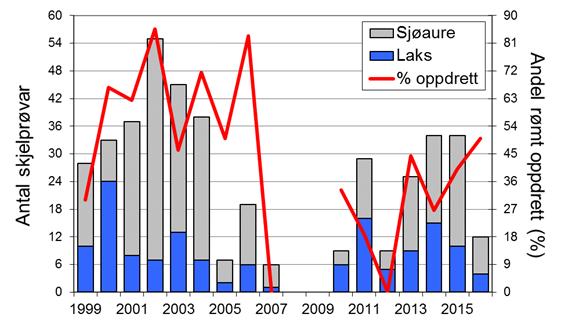 Skjel 2016 FANGST OG SKJELPRØVAR I INDREHUSELVA Fangststatistikk I perioden 1996-2016 var gjennomsnittleg årsfangst 19 laks (snittvekt 2,7 kg) og 88 sjøaurar (snittvekt 0,8 kg; figur 1, stolpar).