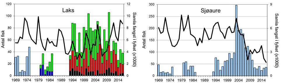 Skjel 2016 FANGST OG SKJELPRØVAR I HOPSELVA I HYEN Fangststatistikk I perioden 1969-2016 var gjennomsnittleg årsfangst 51 laks (snittvekt 3,8 kg), i 2016 vart det fanga 36 laks (snittvekt 3,1 kg;