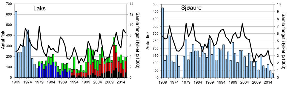 Skjel 2016 FANGST OG SKJELPRØVAR I GLOPPENELVA Fangststatistikk Etter ein periode med avtakande laksefangstar utetter 1990-talet, auka fangstane på 2000-talet, men med markert mellomårsvariasjon