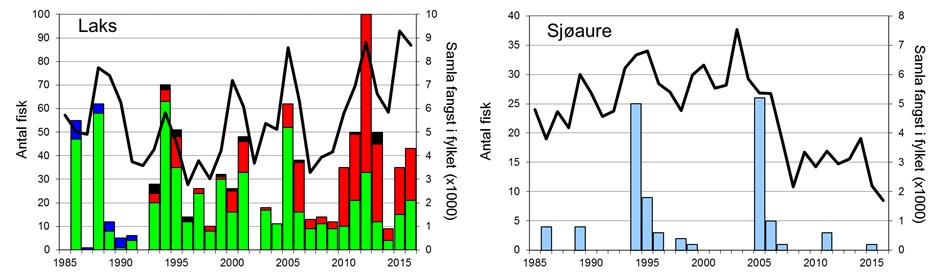 Skjel 2016 Fangststatistikk FANGST OG SKJELPRØVAR I HJALMA Laksefangstane i Hjalma har variert mykje mellom år, med 2012 som rekordår (figur 1, stolpar).