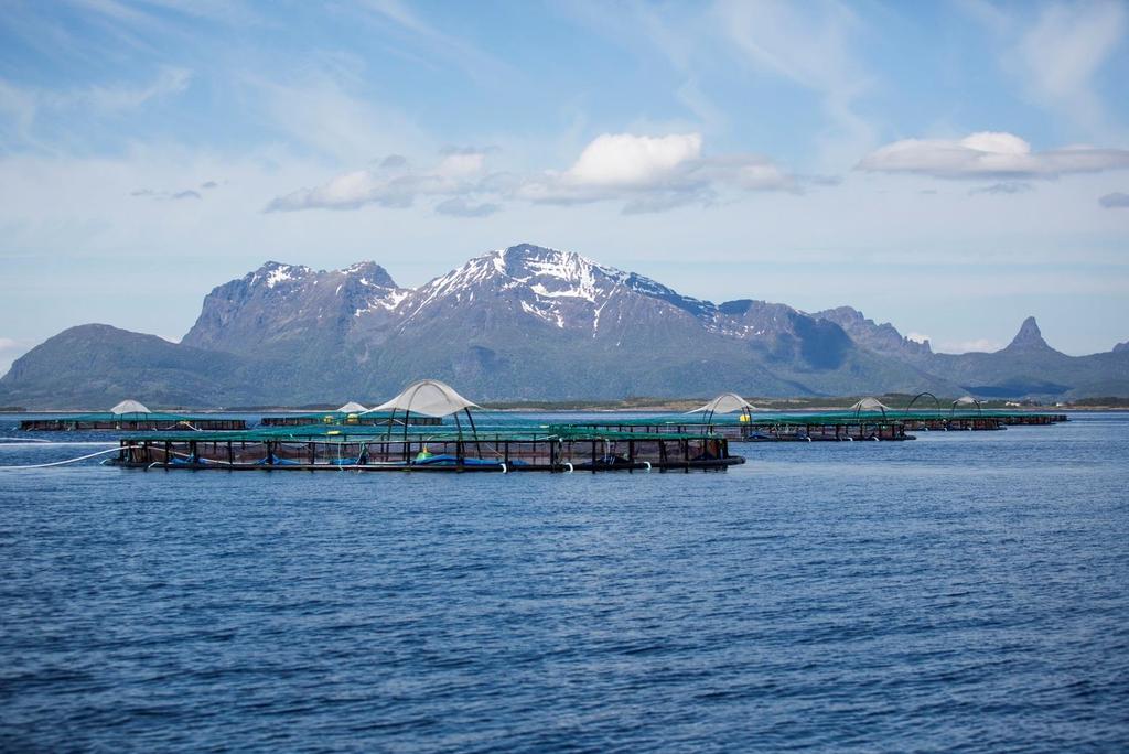 Grønne konsesjoner på lokalitet Anevik 30156, Oksøy 11320 og Veggfjell 11303 i Sagfjorden i Nordland fylke.