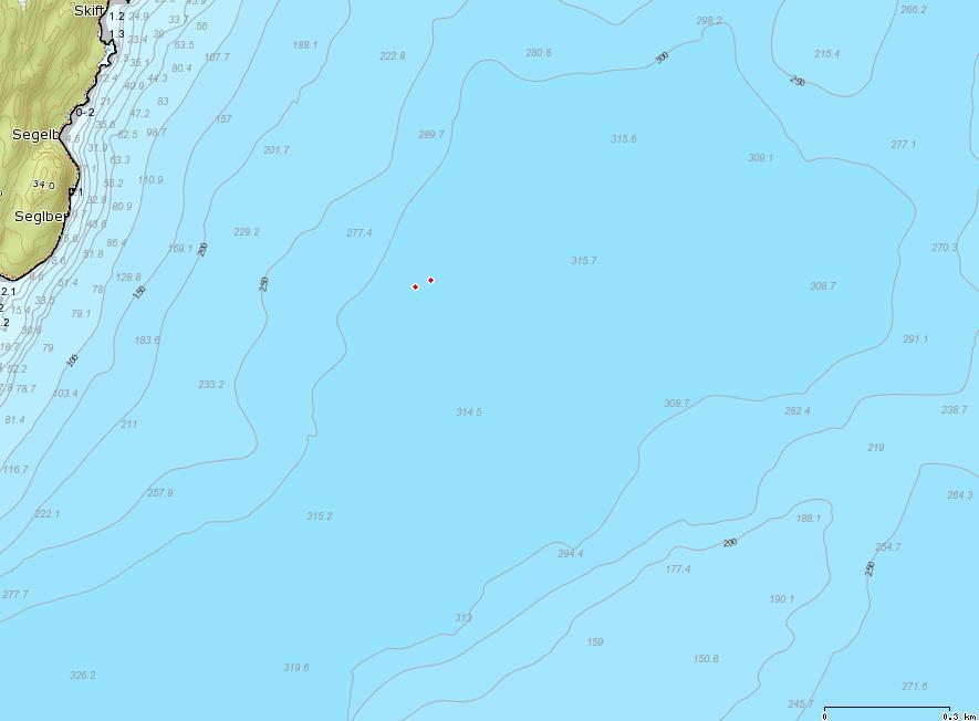 Seglberget 100 150 200 250 300 315 219 300 250 250 200 326 151 272 Figur 5. Djupnetilhøva i den delen av fjorden der straummålingane (raud sirkel) vart gjort.