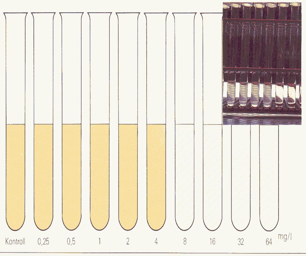 MIC minimal inhibitory