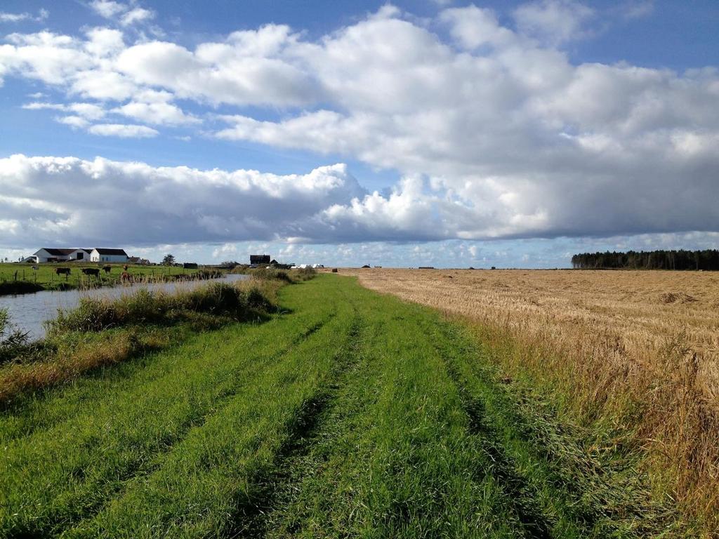 2016 Jæren vannområde Frivillige tiltak i landbruket Olaf Gjedrem og Olav Husveg 6.