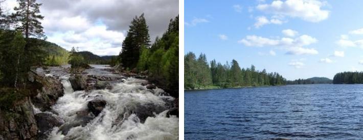 Man kan leie utstyr og guid på forespørsel. Mer informasjon finns på Vist Wildernes. Klattring i Trogfjell Fiske i Vegårshei (34.4 km) Vegårshei har et varierende tilbud av fiskeplasser.