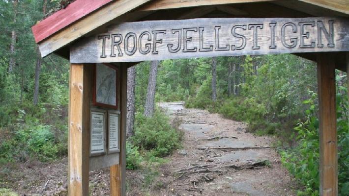 Trogfjellstigen Heldagsvandring ved Trongedalsnuten (26.9 km) For dere som er interesserte i en utfordrende heldagsvandring, så kan Trongedalsnuten, som er områdets høyeste fjell anbefales.