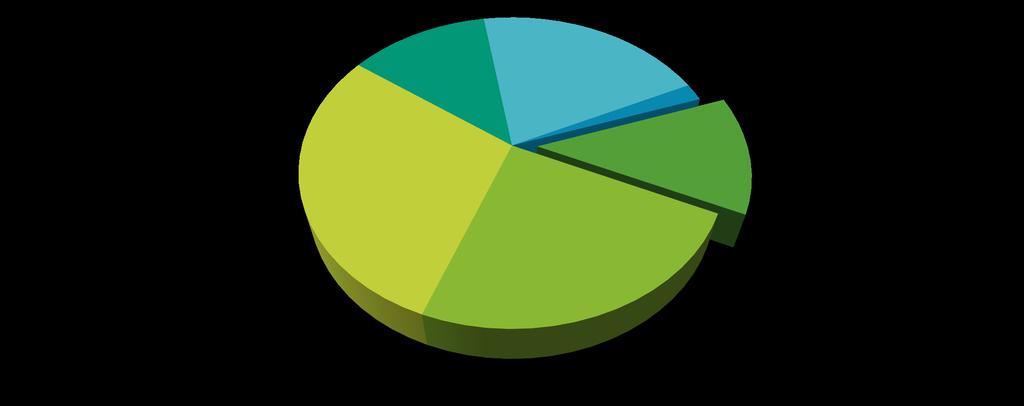 FILTERMASSER Slambehandling 13 % Energibruk pumper 20 % Basseng