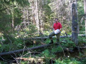 Det foreligger digitale data fra kommunene Porsgrunn, Drangedal, Nissedal, Seljord, Kragerø, Kviteseid, Bamble og Tokke, og delvis fra Hjartdal, Fyresdal, Notodden og Skien.