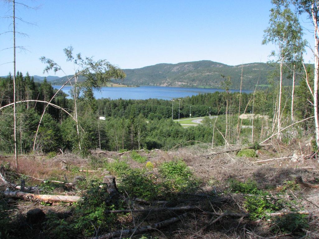 Forord Konsekvensutredningen (KU) er utført i forbindelse med Levanger kommunes planer om industriområde i Vassmarka i Åsen. Vår oppdragsgiver er RG - prosjekt AS ved Øyvind Nybakken.