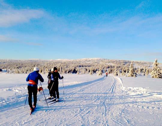 Nordseter - et eldorado for vintersport såvel som for alle former for utendørstrening og aktiviteter året rundt Nordseter ligger i et snøsikkert område og har