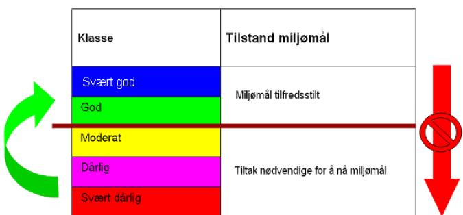 Vanndirektivet er innrettet slik at alle vannforekomster skal ha minst god tilstand, og de som ikke har det skal forbedres gjennom tiltak. Sterkt modifiserte vannforekomster kan unntas.