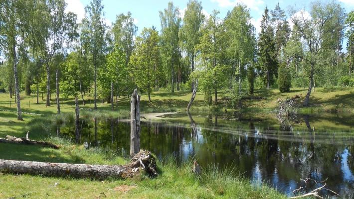 Øland (23.4 km) Ta en tur til koselige Øland, som er tilgengelig både med bil og buss samt med båt. Ølandsbroen er 6 km.