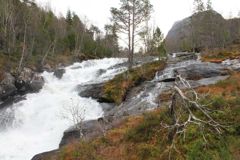 Vidare nedover i skogsterreng og over eit dyrkingsfelt til planlagt kraftstasjonen med grunnflate 70 m2 på kote 92.