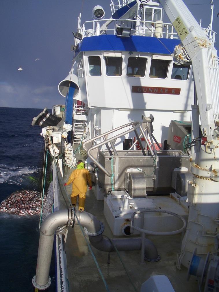 - Åpen Rapport Sluttrapport AP2: Skånsom ombordtaking og oppbevaring av snurrevadfanget fisk før avliving Visualisering av konsept for oppbevaring av fisk før bedøving Forfattere Ulf
