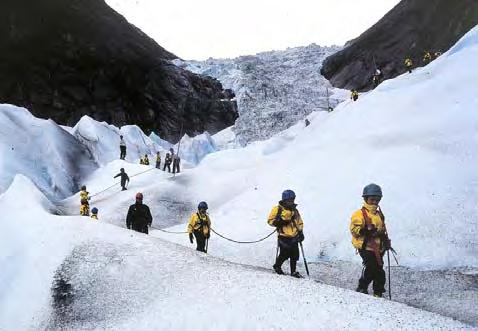 Her blir ofte kontrasten mellom brearm og vegetasjon stor. Bergsetbreen, Luster/Sogn og Fjordane.