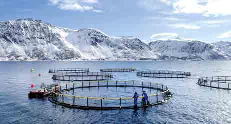 Lenger sør i landet gjorde et varmere og fuktigere klima at fisken måtte saltes og tørkes og klippfisk ble resultatet.