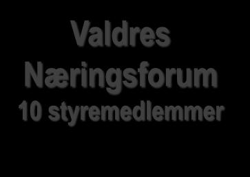 Valdres Natur og Kulturpark Administrasjon Koordinering regionalt samarbeid Valdres Næringsforum 10