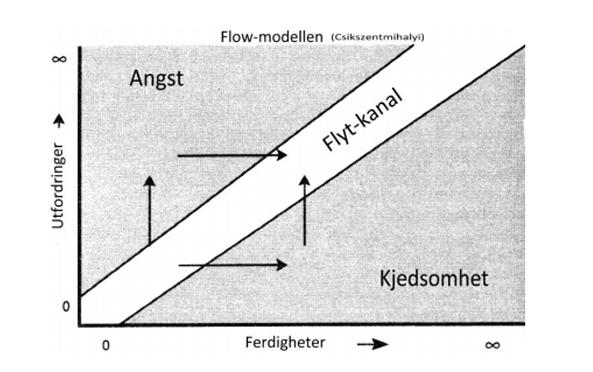 utfordringer kunne føre til at overkvalifiserte personer begynner å kjede seg, eller at personer som møter for høye krav i forhold til sine ferdigheter, vil oppleve angst (Csikszentmihalyi, 1990,