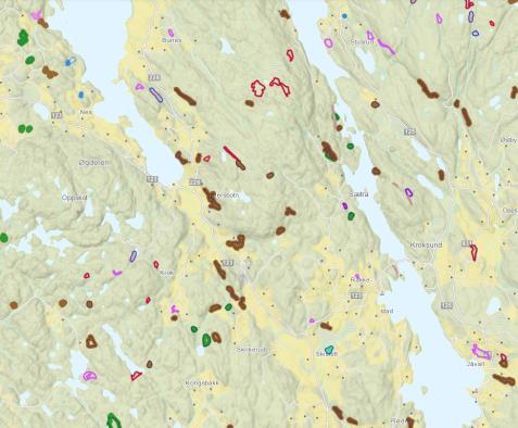 GRUNNPILAREN I SKOGBRUKETS RESSURS- OG MILJØFORVALTNING 1.