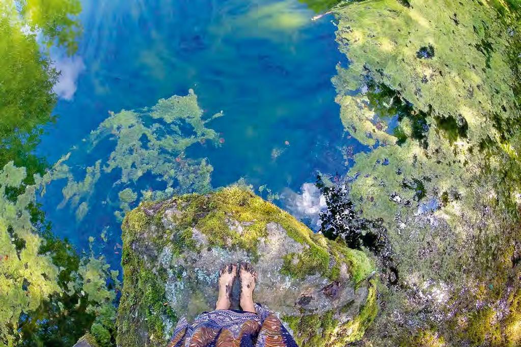 Sõnumid Epp Libe kuval Neitsite juuksed on jäädvustatud vetikaisse mähkunud ohvriallikas, mis kutsub süüvima pühapaikade saladustesse Hiite fotovõistluse võitis kuva Vormsi Suurallikast Maavalla koda