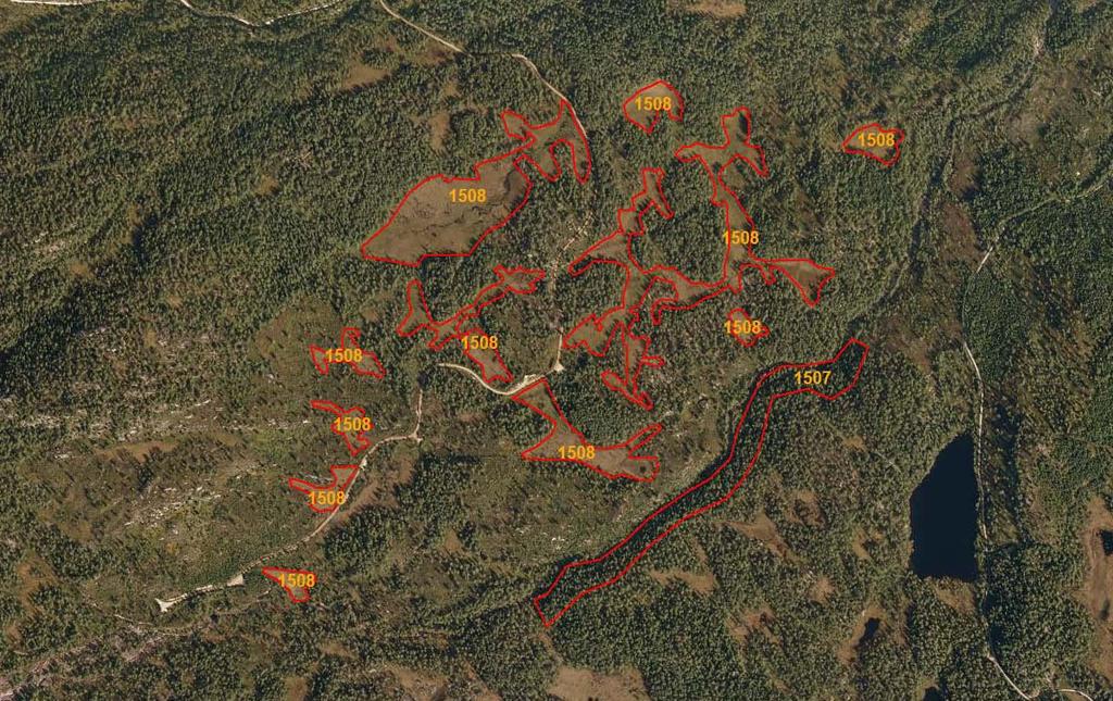 Figur 2: Kart over registrerte naturtypeverdier med nummer. Alle de større slåttepregede myrene i området ble avgrenset som en multipolygon naturtypelokalitet med én beskrivelse (fig 2, lok 1508).