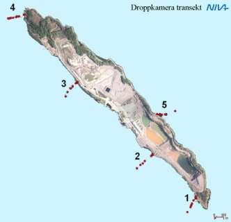 2.3 Strandsoneundersøkelser Dyr og alger i strandsonen er blitt undersøkt ved to stasjoner på Langøya ( og ), og ved en kontrollstasjon på Mølen () siden 1996 (Figur 2 og Vedlegg D).