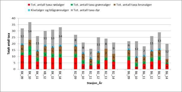 En oversikt over antall registrerte taxa på de tre stasjonene fra 2009 2014 viser at det ikke har skjedd store endringer i antall registrerte alge- og dyretaxa på stasjon og i 2014, sammenliknet med