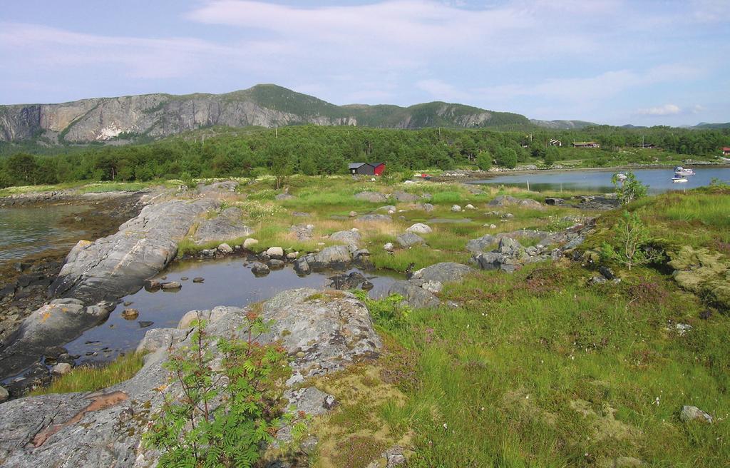 Insekt-Nytt 35 (4) 2010 Mellandsvågen i Aure kommune, Møre og Romsdal. Foto: John Bjarne Jordal. Drammen, Staværn, in Ringerike, Edsberg, Elverum, in alpe Dovre et insula Smølen a Siebke capta.