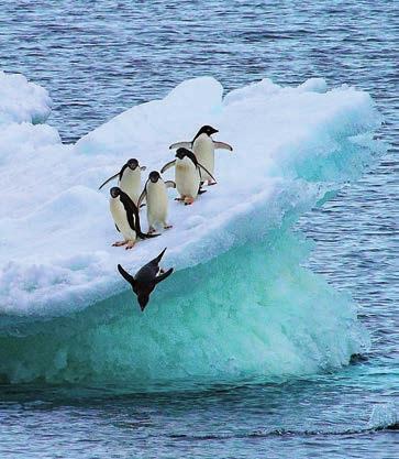 Karsten Bidstrup Antarktis er i alle aspekter isolert fra omverdenen, og reisende vil forstå hva dette betyr når de opplever det mest forblåste, kaldeste, tørreste og høyeste kontinentet.
