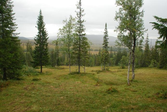 2013. Deltakere var Pål Flatås (Reinsjø fjellstyre), Arne Ramdal (Levanger kommune), Pål Haugskott