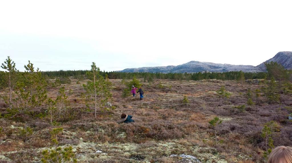 00 Vi på Strand har et flott og variert uteområde, lekeplass, kunstgressbane, gapahuk i skogen, fjæra, bondegård i gangavstand, båthavn. Mange muligheter. DAGSRYTMEN: Mandag: Sfo åpner 7.15.