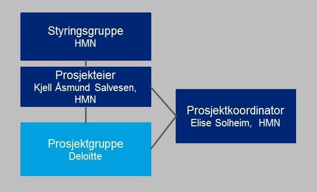 5 Prosjektorganisering Prosjekteier for prosjektet er Kjell Åsmund Salvesen (Fagdirektør i Helse Midt-Norge RHF). Styringsgruppe for prosjektet er ledermøtet i Helse Midt-Norge RHF.