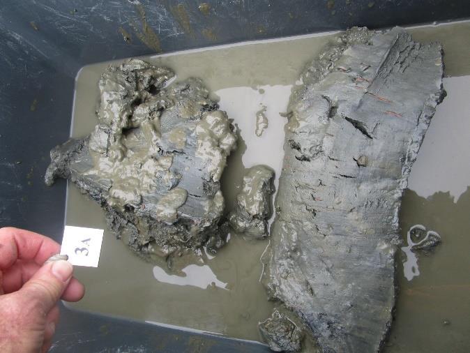 1 V9.3). Figur V9.1 Sediment før vask.
