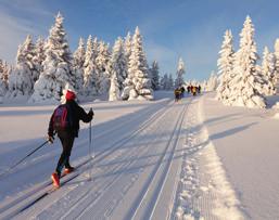 tilgang til alpinanlegget, restauranter, uteliv og nærbutikk med kortreist mat Bedre sammenknytning av området,