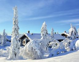 Hafjell 20 Tempelseter: Hvem er de: Familier i eldre hytter som brukes av fler generasjoner eller storfamilien