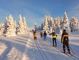 i dalen, heistilbud opp på fjellet i barmarkssesongen samt