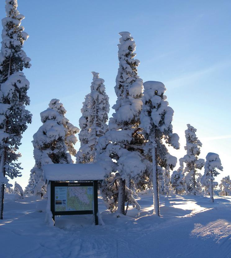 ÅF Konsult sin vurdering av foreliggende planer for områdene rundt skisenteret er: Snekkermyra (S2) representerer en arealreserve, særlig dersom veien legges om Områder har imidlertid lite utsikt mot