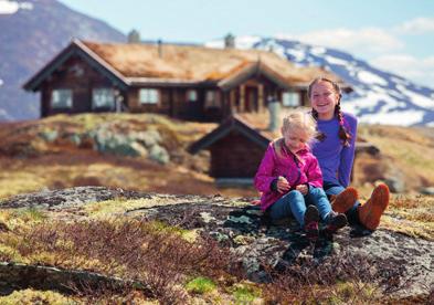 og gi konkrete rammer for kommunenes arbeid med å rullere kommunedelplanene for sine respektive deler av Norefjell Utredningsområdet omfatter tradisjonelle hytteområder, mer intensivt utbygde